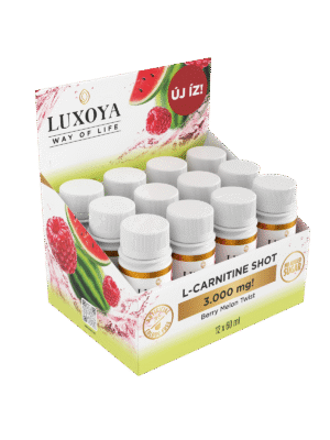 L-CARNITINE SHOT 3.000 mg TEKUTÝ L-KARNITIN -MELÓN MALINA