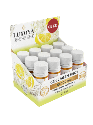 L-CARNITINE SHOT 3.000 mg TEKUTÝ L-KARNITIN -CITRÓN BAZA